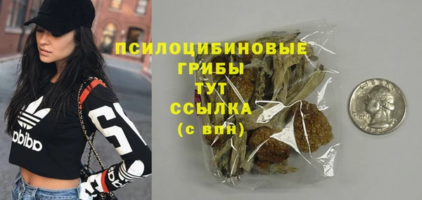 стаф Володарск
