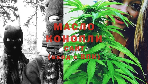 стаф Володарск