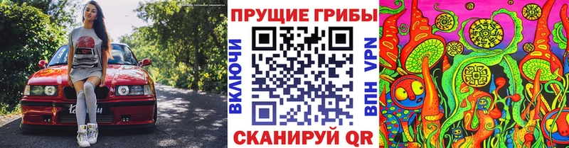 цена наркотик  блэк спрут маркетплейс  Псилоцибиновые грибы Psilocybine cubensis  Краснотурьинск 